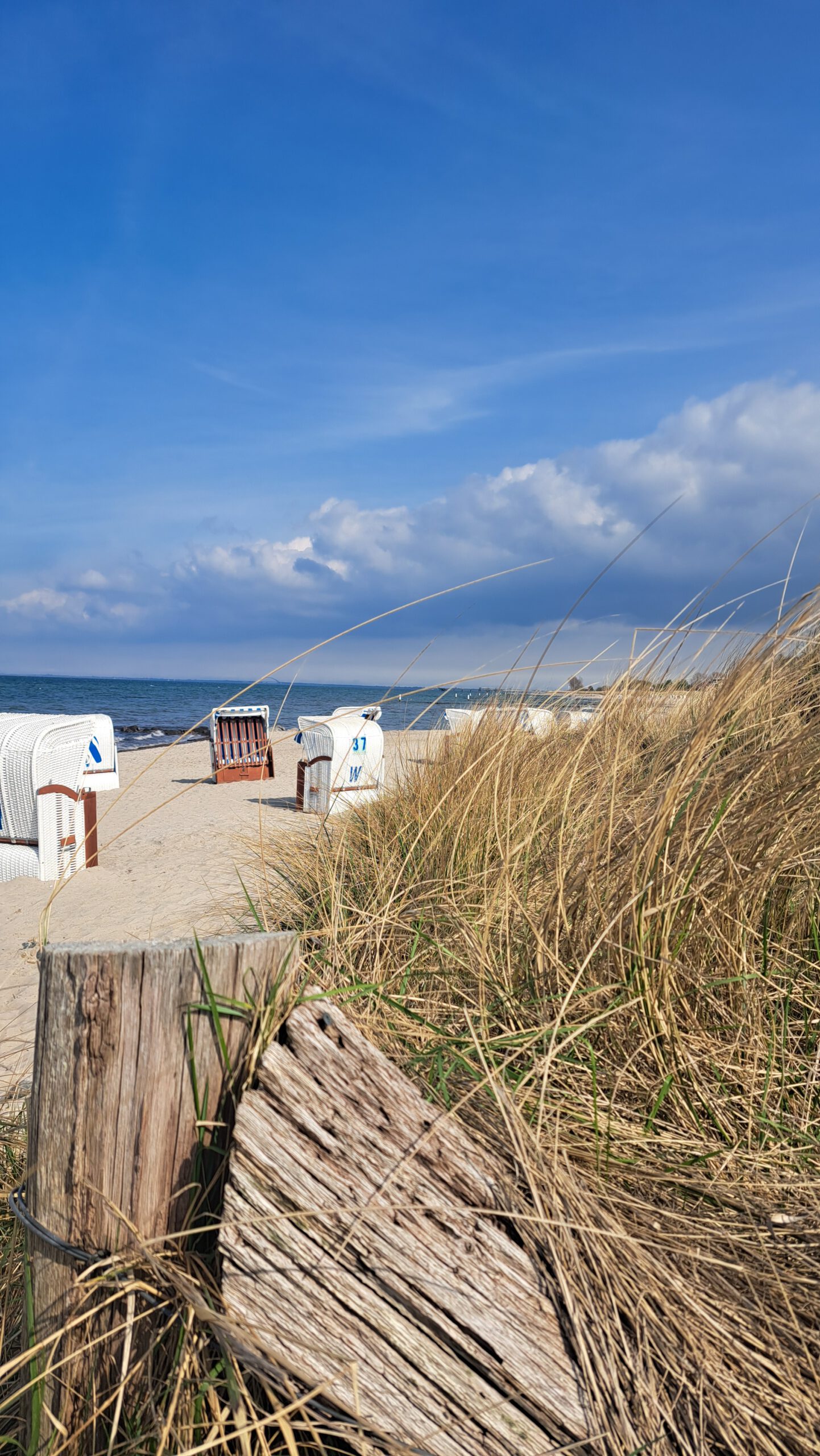 Strand "Steinwarder"