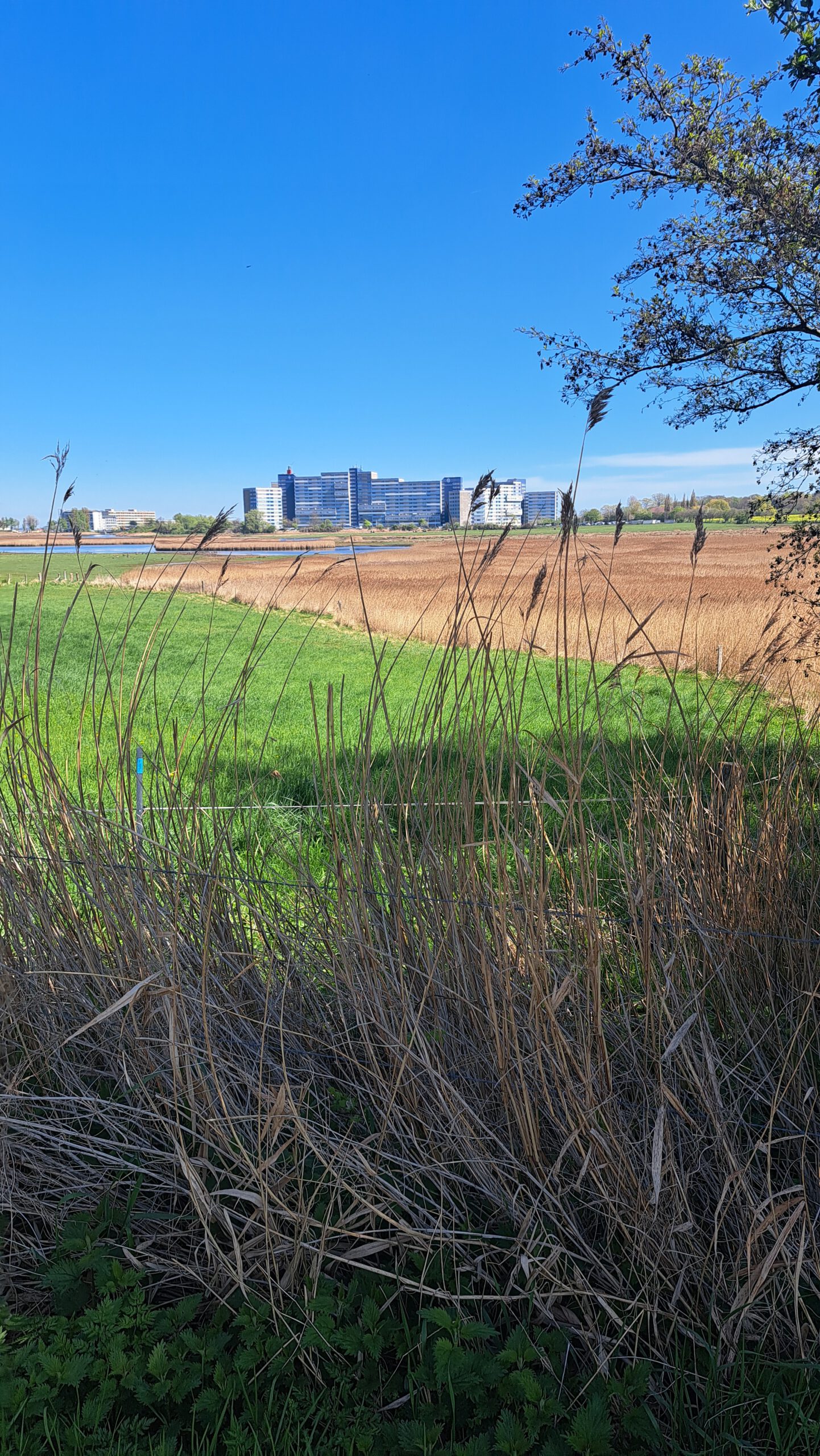 Ferienpark